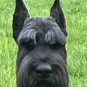 Meet your Posher, Linda